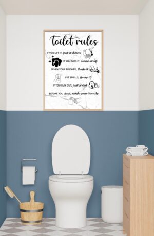Toilet rules